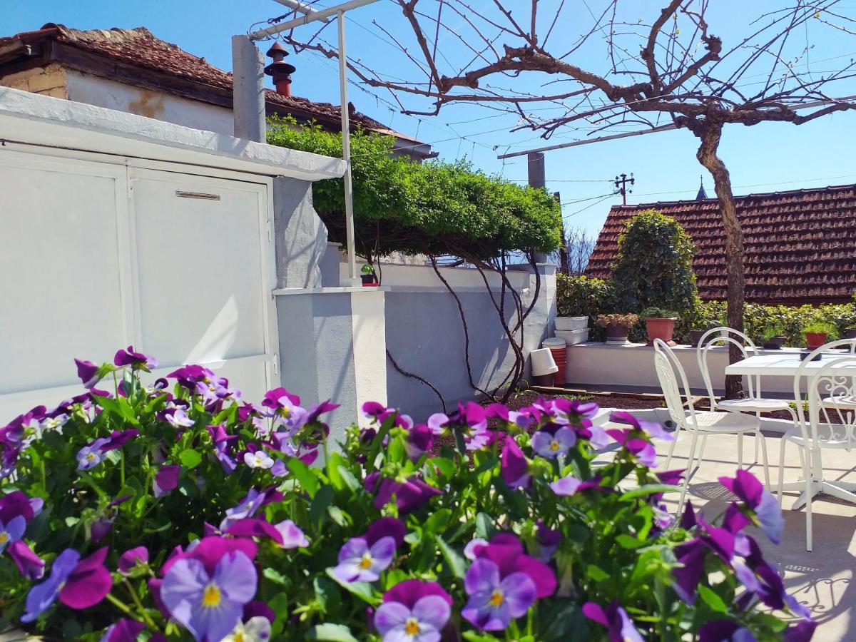 Apartman Kristina ชาพลินา ภายนอก รูปภาพ